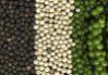 images/avatars/avatar-867.jpg